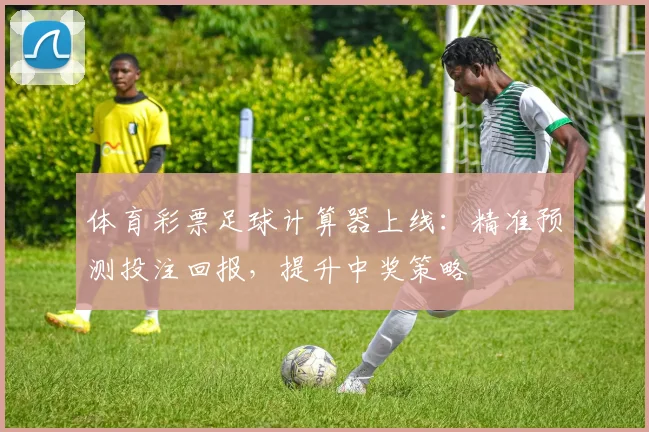 体育彩票足球计算器上线:精准预测投注回报,提升中奖策略