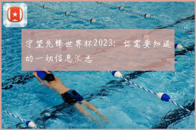 守望先锋世界杯2023：你需要知道的一切信息汇总